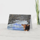 Search for cattle christmas cards Calf