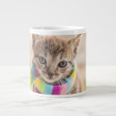 Search for baby kitten mugs Cat