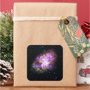 Search for hubble stickers Nebula