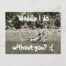 Search for without postcards Missing
