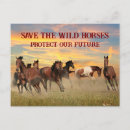 Search for save a horse postcards Horses