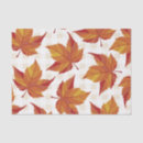 Search for thanksgiving tissue paper Farmhouse