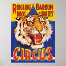 Search for circus tiger art Growl