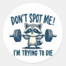 Search for racoon stickers Sarcastic
