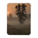 Search for rising sun magnets Landscape