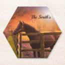 Search for paddock Equine