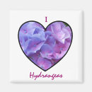 Search for hydrangea magnets Purple
