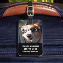 Search for car luggage tags Cute