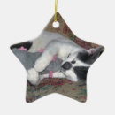 Search for kitten star christmas tree decorations Pet