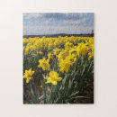Search for daffodil puzzles Scenic