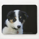 Search for bordered image mousepads Collie border