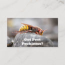 Search for controller business cards Hornet