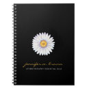 Search for white daisy Black