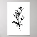 Search for rose drawing posters Black and white