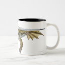 Search for edible mugs Wildlife