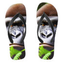 Search for apes shoes Gorilla