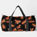 Search for cockroach Exterminator