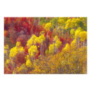 Search for logan art Utah