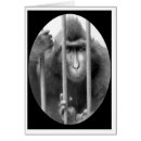 Search for primats Primate