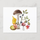 Search for wild mushrooms postcards Forest
