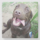 Search for funny chocolate barware Pet