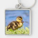 Search for ducklings key rings Bird