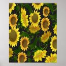 Search for sunflower posters Best