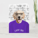 Search for tshirt cards Funny