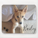 Search for dog mousepads Animals