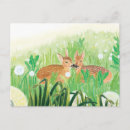 Search for tall grass Nature