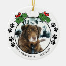 Search for paws christmas tree decorations Remembrance