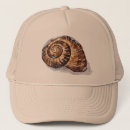Search for shells hats Nature
