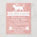 Search for dog grooming promotion flyers Pet care