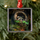 Search for racoon christmas tree decorations Woodland