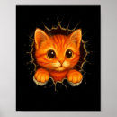 Search for kitten posters Funny