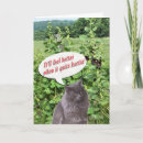 Search for accident humor get well cards Cat