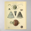 Search for optometry art Vision