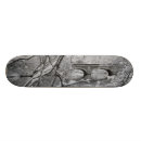 Search for winter skateboards River