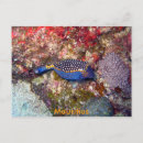 Search for scuba diving postcards Coral