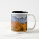 Search for nps mugs Fall