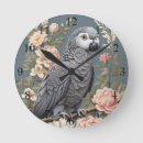 Search for african grey parrots art Pets