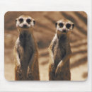 Search for stare mousepads Photography