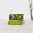 Search for spring tree cards Nature