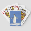 Search for penguins playing cards Cold