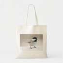 Search for capped chickadee accessories Nature
