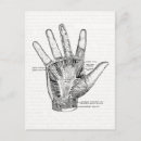 Search for anatomy postcards Black