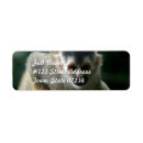 Search for wild life return address labels Zoo