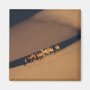 Search for camel desert magnets Nature