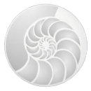 Search for seashells knobs and pulls Nautical