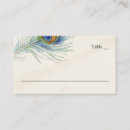 Search for peacock place cards Teal